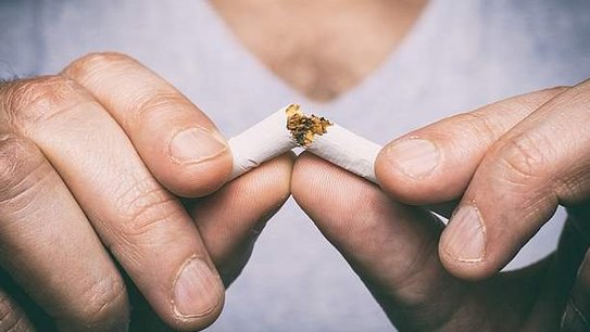 © mbruxelle, Adobe Stock © mbruxelle, Adobe Stock