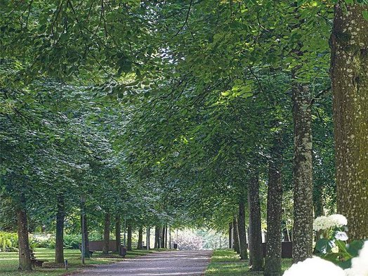 © Viktoria Resch, www.mymirrorworld.com