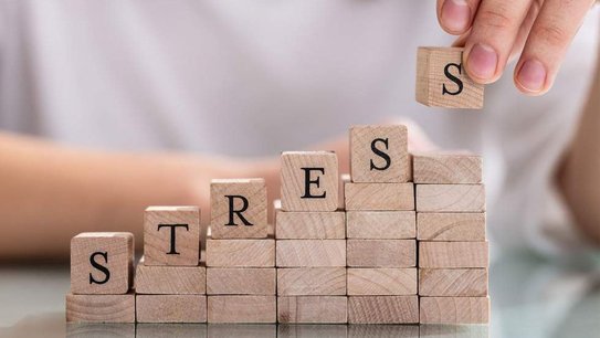 ©Adobe Stock / Andrey Popov