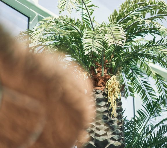 Südseefeeling in der Therme Tropicana