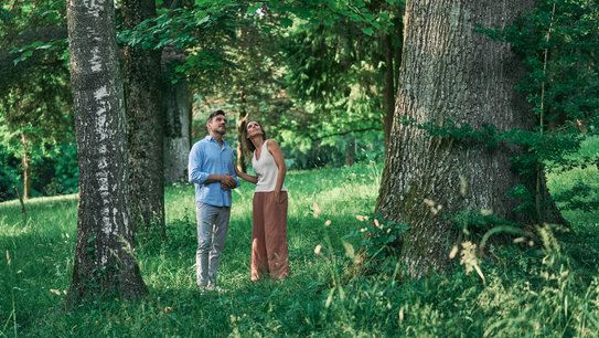 Waldbaden in Bad Hall