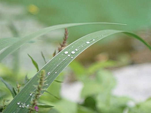 © Viktoria Resch, www.mymirrorworld.com